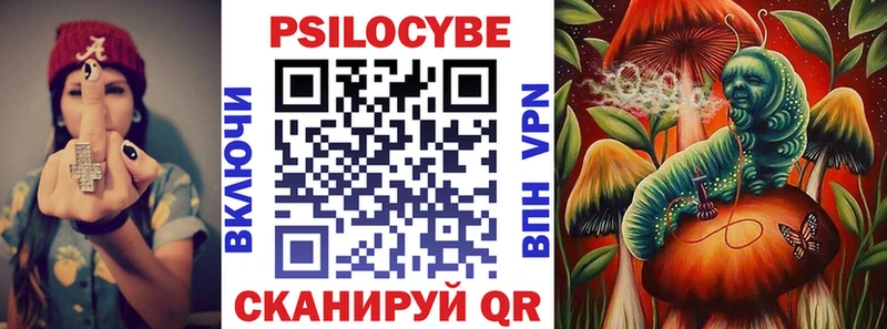 Галлюциногенные грибы Cubensis Купить Карачев