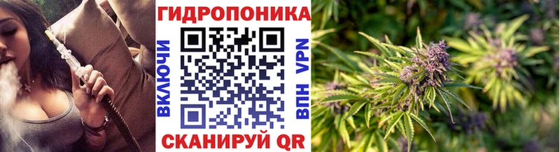 Купить где  Карачев  Канабис THC 21% 